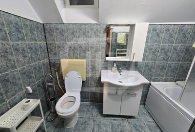 Casa Individuala, 170mp, 1000mp gradina, pet-friendly, Dambul Rotund - 15
