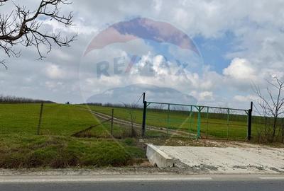Teren extravilan Săcele ideal pentru silozuri, fermă sau investiție - 15