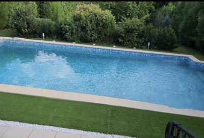 VILA IMPRESIONANTA CU ACCES LA LAC si PISCINA - 12