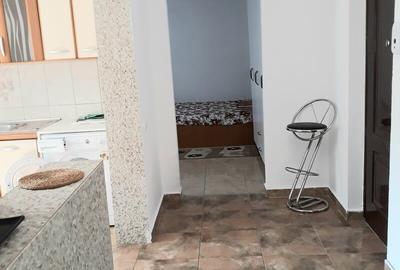 Colentina, Doamna Ghica, Parc Plumbuita, semistradal - 5
