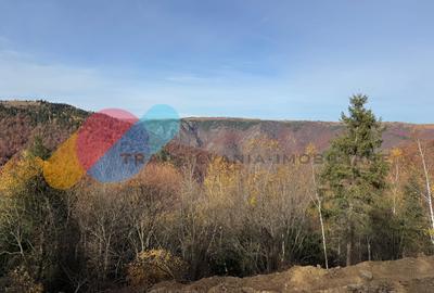 Teren in Marisel, 1966 Mp – view superb, izvor propriu si utilitati - 1