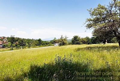 Teren superb in Bran la 5 min de Castel, 37 euro/mp. - 6