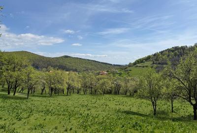 TEREN INTRAVILAN 8330 MP, INURI, VINTU DE JOS - 7