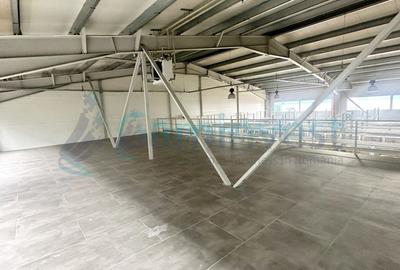 Hala industriala cu birouri de vanzare, Parc Industrial Eurobusiness 1, Oradea - 7