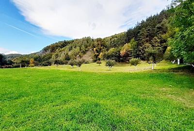 Teren superb de 16240mp, parcelabil, in Bran la intrare in Moeciu de Jos - 5