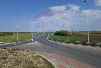 Vanzare teren intravilan parcelat, in Branesti langa - Autostrada A2 - 7