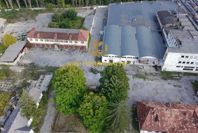 Platforma Industriala-8 ha -Fabrica-Hale Productie-21.500 mp - 6