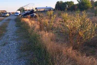 Teren intravilan Steaua de mare 2 - 5