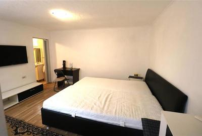 Apartament cu 1 camera, zona Printu Turcesc - 2