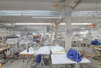 De vanzare spatiu industrial in Turnu Magurele - Teleorman - 9
