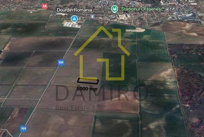 Teren Intravilan 5000 mp Buftea Tamasi - 3