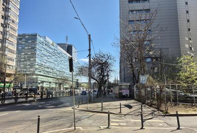Garsoniera Moderna Victoriei - Titulescu - 14