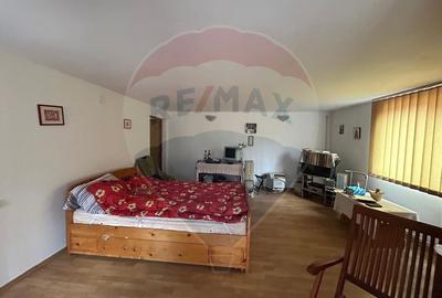 Casă de vânzare cu teren generos de 1.043 mp, două corpuri de locuit. - 2