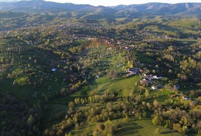 Teren generos de vânzare cu vedere spre Iezer in Bughea de Sus - 4