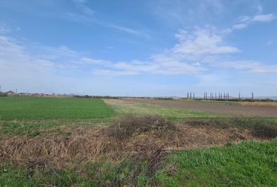 TEREN INTRAVILAN DE 2134 MP CU DRUM PROPRIU ÎN PREJMER – IDEAL PENTRU INVESTIȚIE - 6