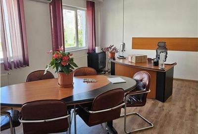 Exclusivitate - Proprietate Industriala De Inchiriat - Productie - Depozitare - 29
