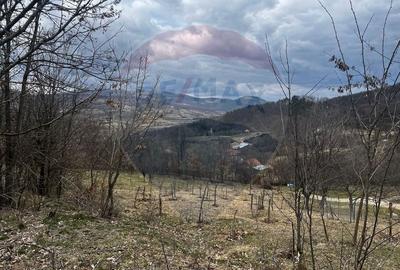 Teren intravilan 12.458 mp în Văleni (Meteș) - 4