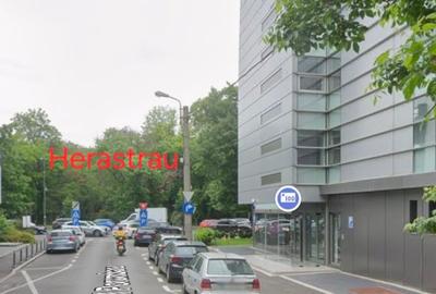 Apartament 3 camere parter in vila plus garsoniera demisol si curte. - 8