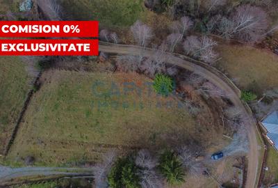 Teren Construcții intravilan de 2980 mp, în Dealu Negru