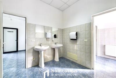 Clădire de birouri de închiriat în Dumbrăvița - 20