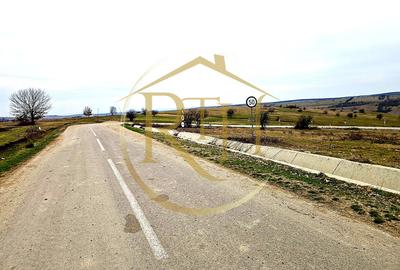 Terenuri extravilane de vânzare – Vizma & Crivobara, comuna Secaș, jud. Timiș - 18