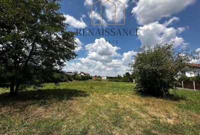Dumbravita Teren Intravilan 1466mp Front 29m | Langa Padure - 14