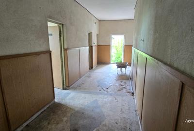 Constructii la strada in Cucorani pe 1 ha de teren - 11