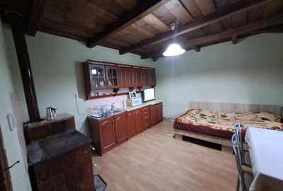 Vand casa în Ucuriș Bihor - 15