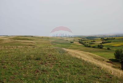 Teren parțial intravilan-300000mp Stroiești-Trei Movile, Suceava - 10