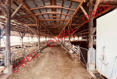 Ferma complet echipată de 22 de hectare de vânzare în Zoltan! - 10