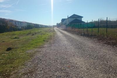 Teren Intravilan 450mp Str Mesteacanuui - 4