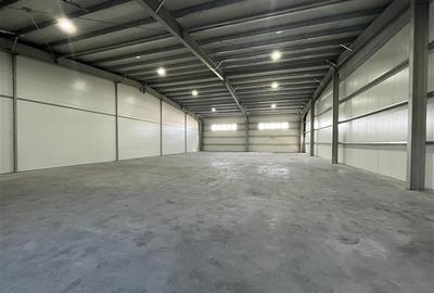 Inchiriere depozit/hala/spatiu industrial Pantelimon - Centura - 7