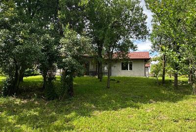 Casa Pensiune in Viile Satu Mare teren 1,63 ha, 11 camere, 10 bai - 2