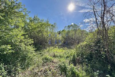 Teren de vânzare – Valea Avrigului, jud. Sibiu | 1.600 mp - 7