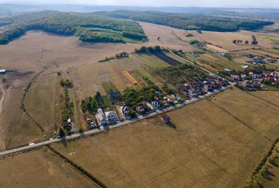 Teren intravilan, 5.800 m2, Săliştea Nouă, Baciu, jud. Cluj