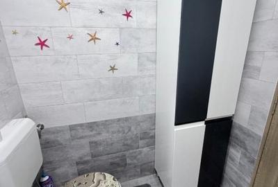 Apartament de 2 camere Dristor - 10