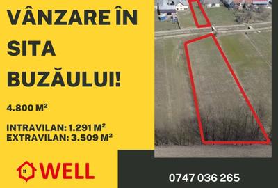 Teren intravilan de 4800 mp, în Sita Buzăului