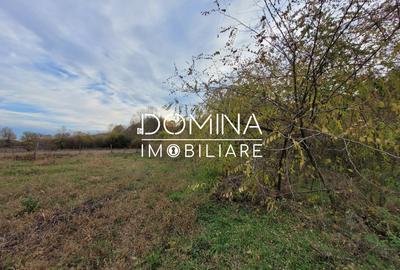 Vanzare teren intravilan, 4967  mp, utilitati, sat Rasova, Balesti - 9