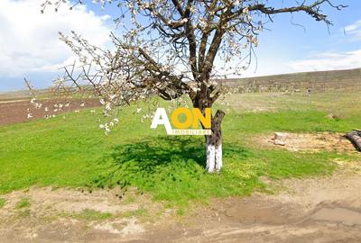 Teren intravilan, 3600 mp, la sosea, toate utilitatile, Oarda de Jos - 1