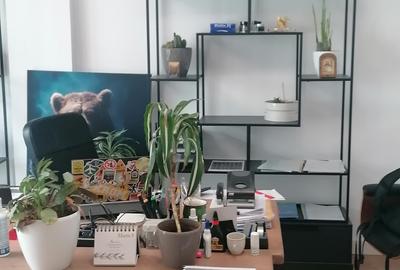 PIATA VICTORIEI - Titulescu inchirieri birouri 25 mp si 23 mp - 14