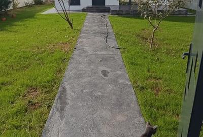 CASA DE LANGA PADURE, Clinceni str. Mierlei 73J - 5