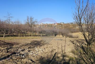 Casă / Vilă , Salcea, Suceava - 18
