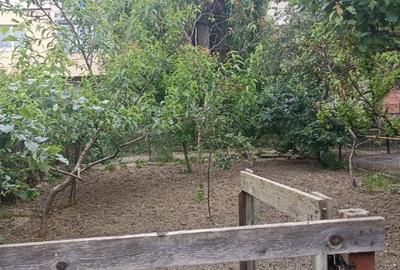 Casa strada Mihai Viteazul nr 25, Pitesti - 3