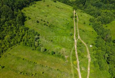 Teren Pasune + Arabil - Valea Mare Podgoria Arges - 20