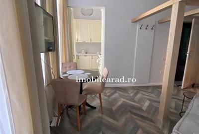 Apartament 60 Euro pe zi, amenajat in stil unic langa Primaria Arad - 1
