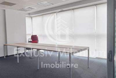 Armeneasca Birouri / Rosetti UltraCentral - 5