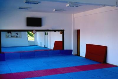 Vand sala de sport,include spatii multifunctionale - 6