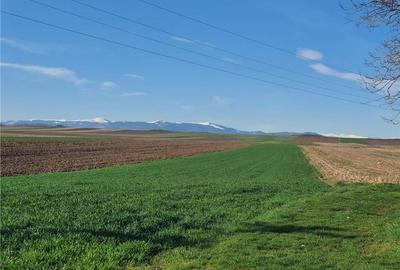 Teren extravilan 4.500- max.18.300mp in comuna Rosia (17 km de Sibiu) - 9