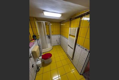 Casa in inima Aradului, ultracentral pe Malul Muresului - 15