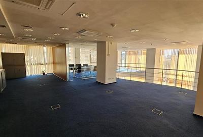 Luxoffice Center - duplex birouri 290 mp - 8